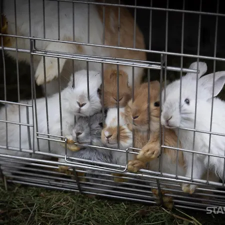 샬레 Sauna & Jacuzzi *