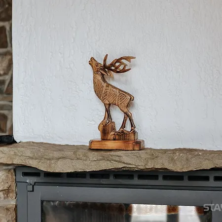 Sauna & Jacuzzi 샬레 *